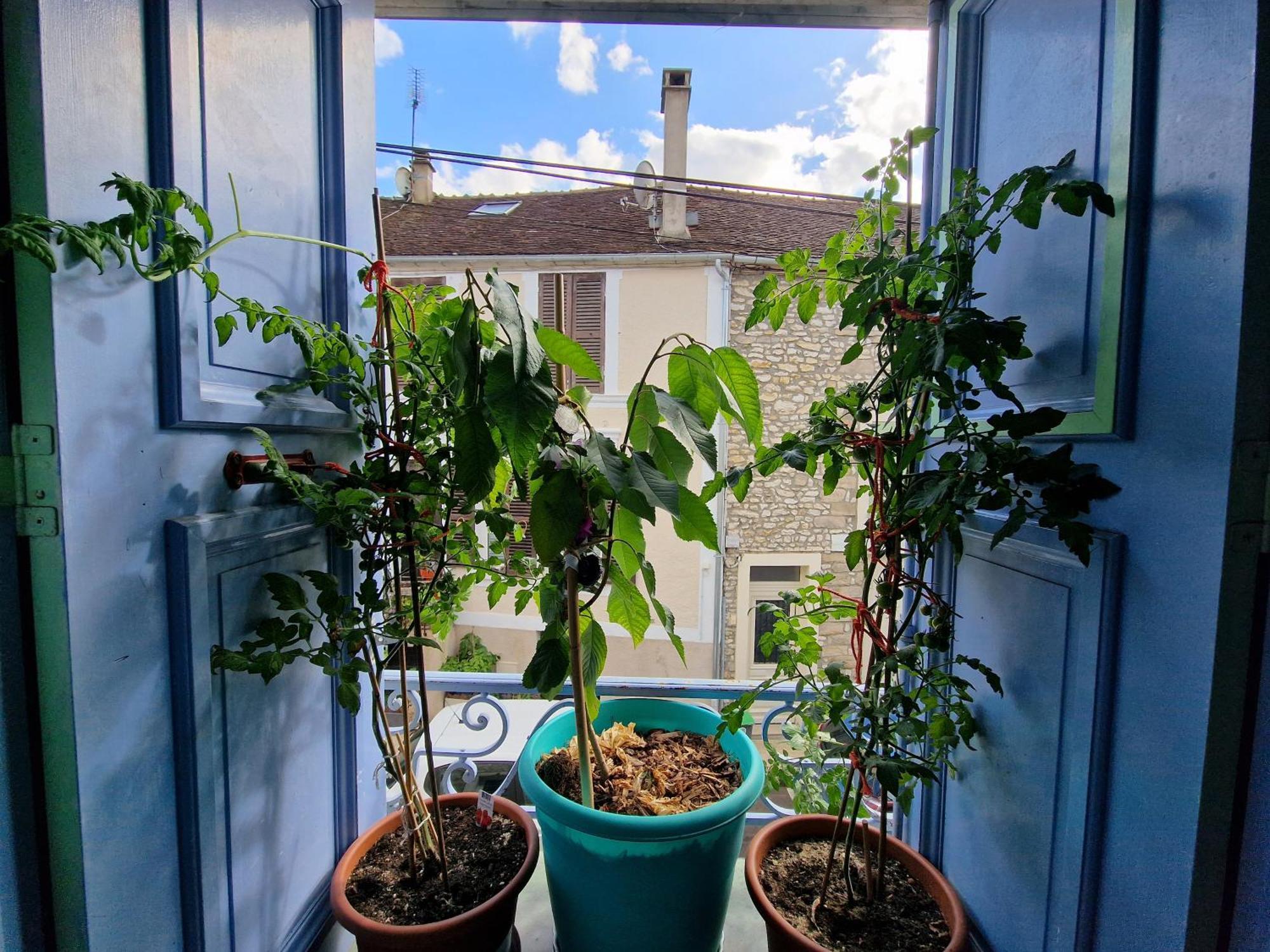 Chez Mamichou Appartement Moret-sur-Loing Buitenkant foto